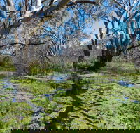 Macquarie Valley Trails - Mackay Tourism