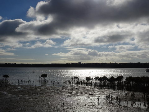 Marine Parade (Hastings Foreshore Reserve) Circuit - Cycling - Mackay Tourism 0