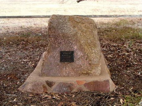 May Gibbs Tree - Mackay Tourism 0