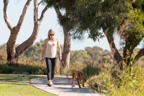 Meningie Walking And Cycling Trails - Mackay Tourism 0