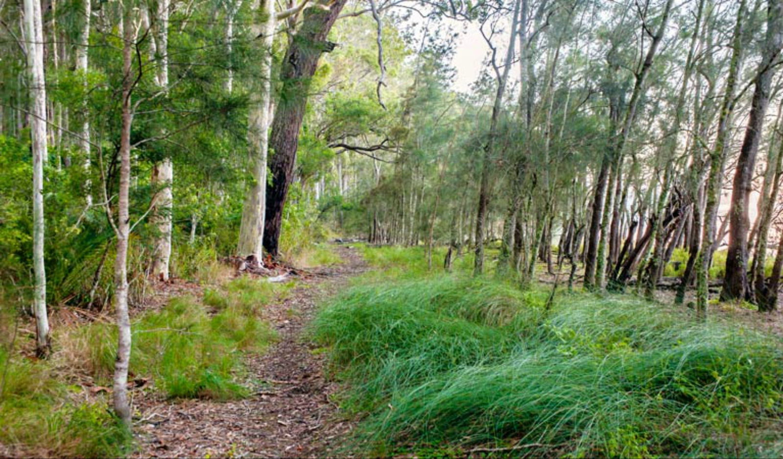  Mackay Tourism