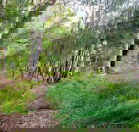 Meroo Lake walking track - Mackay Tourism