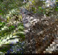 Moore Park Nature Reserve - Mackay Tourism