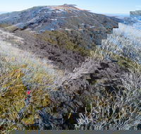 Mt Buller Bike Park - Mackay Tourism