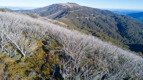 Mt Buller Bike Park - Mackay Tourism 0