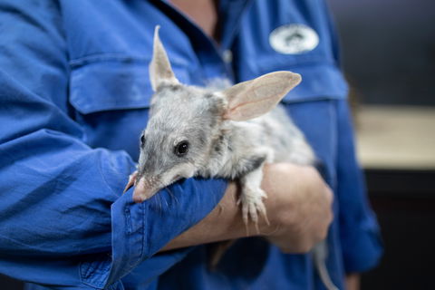 Natural Sciences Loop - Mackay Tourism 2