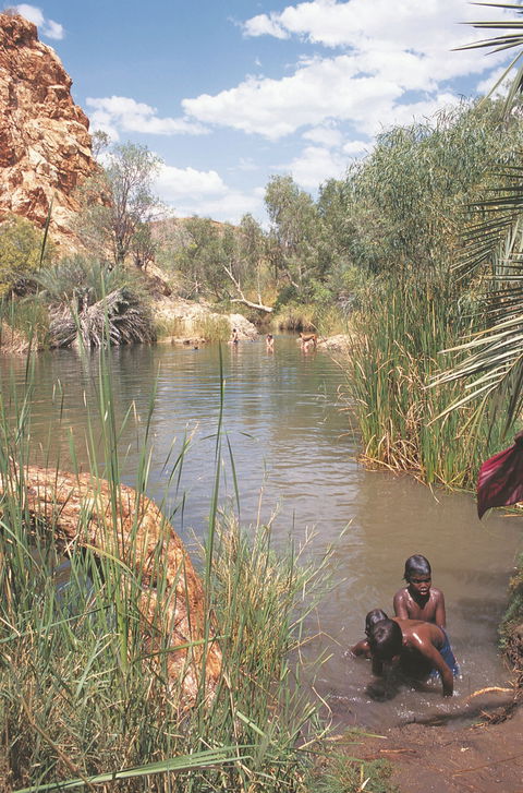 Palm Springs - Mackay Tourism 0