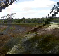 Penola Conservation Park - Mackay Tourism