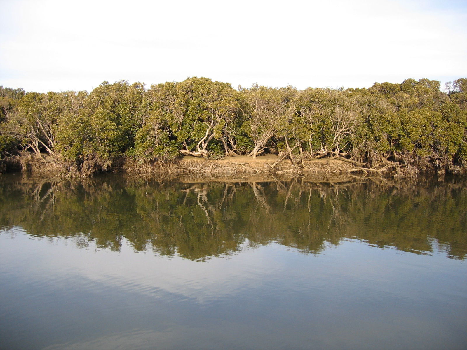 Clinton Centre ACT Mackay Tourism