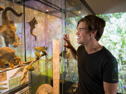 Queensland Museum - Mackay Tourism 0