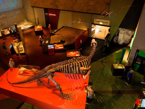 Queensland Museum - Mackay Tourism 2