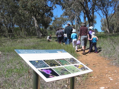 South Gundagai Woodlands Walk - Mackay Tourism 0