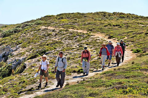 The Sole Walk At Hillocks Drive - Mackay Tourism 0