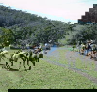 Timbertops - Horse Riding - Mackay Tourism