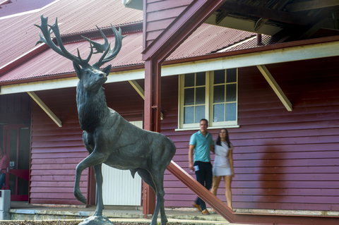 Toogoolawah - Mackay Tourism 1