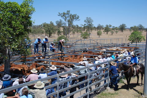 Toogoolawah - Mackay Tourism 2