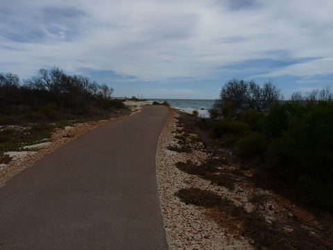 Turquoise Way Trail, Jurien Bay - Mackay Tourism 0