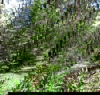 Tyers Park - Mackay Tourism