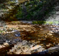 Wilson River picnic area - Mackay Tourism