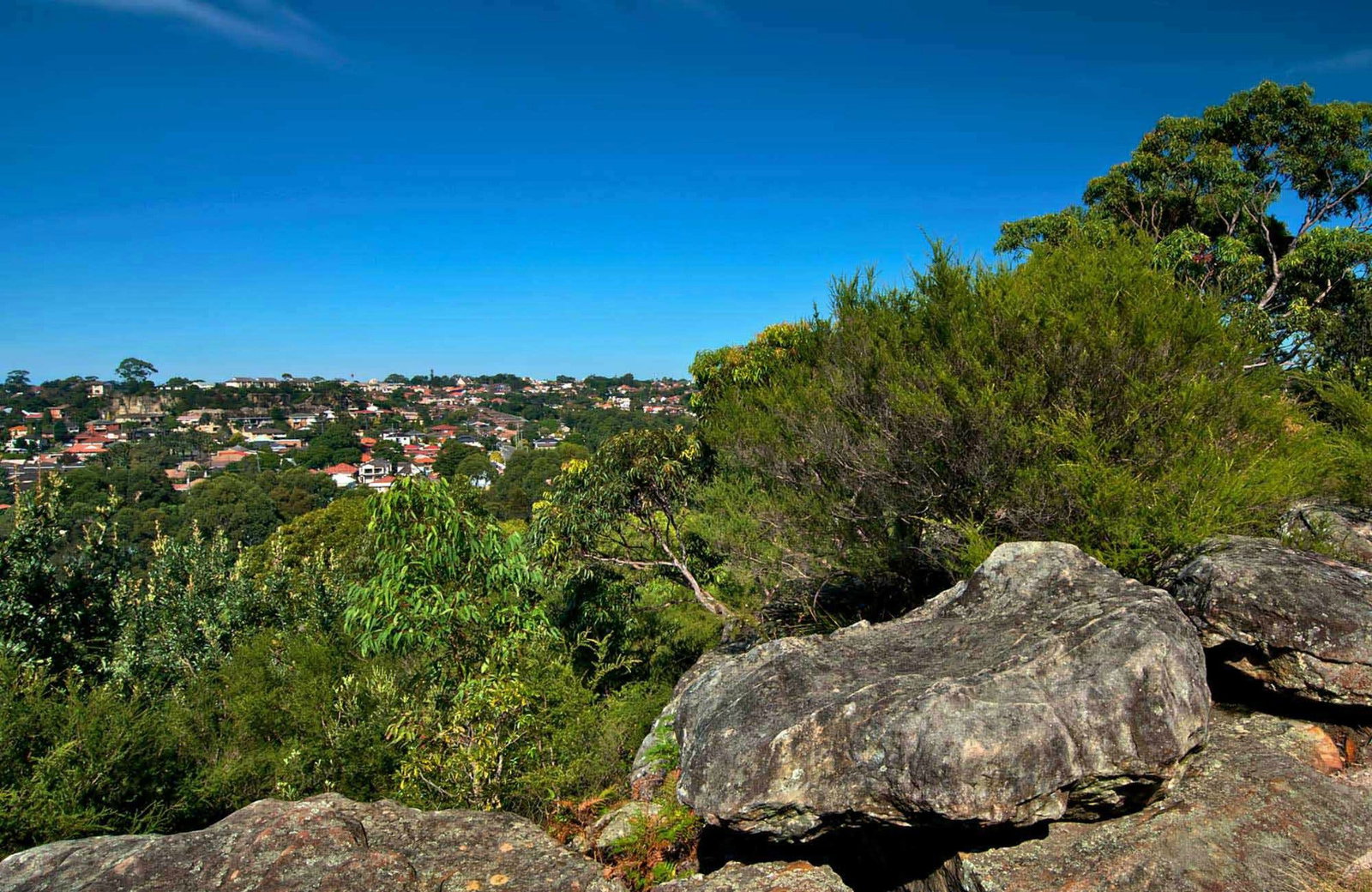 Earlwood NSW Mackay Tourism