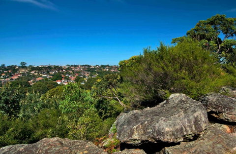 Wolli Creek Regional Park - Mackay Tourism 0