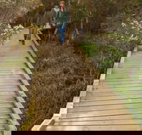 Balcombe Creek Estuary Boardwalk - Mackay Tourism
