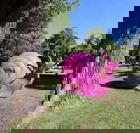Belmore Park - Mackay Tourism