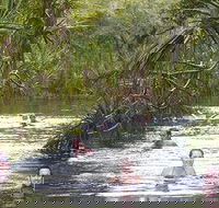 Berry Springs - Mackay Tourism