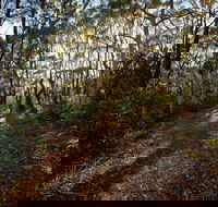 Booderee National Park Munyunga Waraga Dhugan Walking Trail - Mackay Tourism