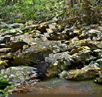 Booyong Walking Track - Mackay Tourism