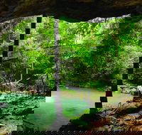 Buderim - Mackay Tourism