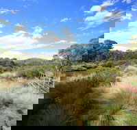 Bullocks walking track - Mackay Tourism