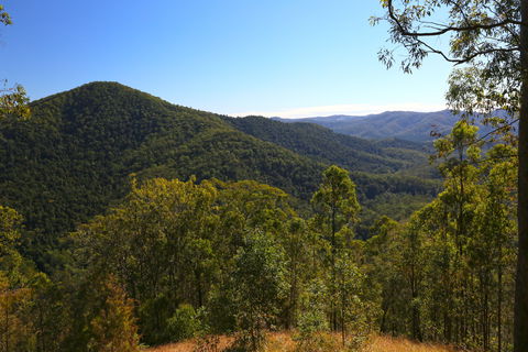 Conondale National Park - Mackay Tourism 0