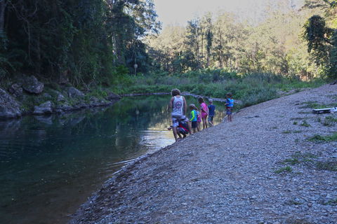 Conondale National Park - Mackay Tourism 2