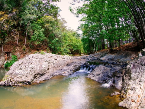 Currumbin Rock Pools - Mackay Tourism 0