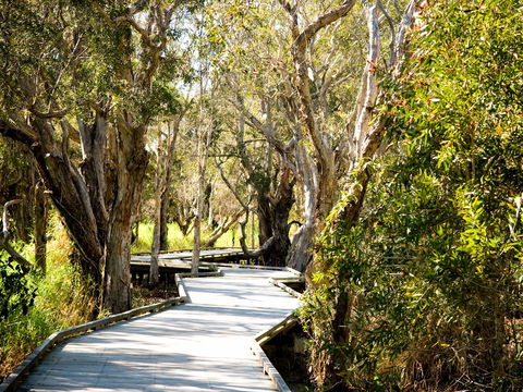 Eagleby Wetlands - Mackay Tourism 1