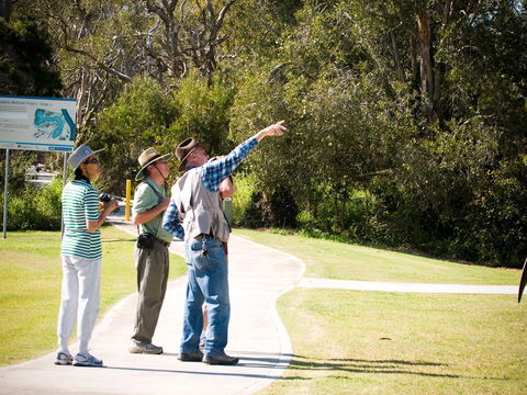 Eagleby Wetlands - Mackay Tourism 2