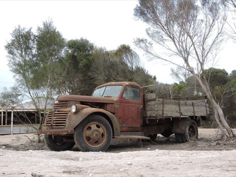 Emu Ridge Eucalyptus Pty Ltd - Mackay Tourism 2