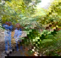 Endeavour Fern Gully Walks - Mackay Tourism