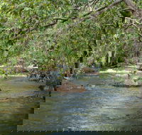 Florence Creek walk - Mackay Tourism
