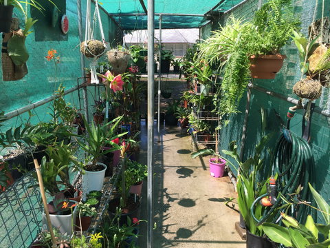 Kilcoy Craft Market - Mackay Tourism 1