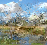 Lagoon Creek - Mackay Tourism