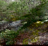 Mongarlowe River picnic area - Mackay Tourism
