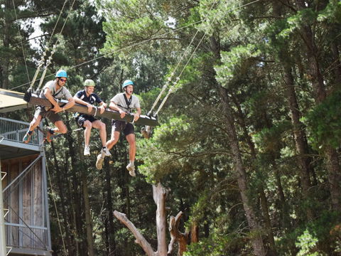 Mount Lofty Adventure Hub - Mackay Tourism 1