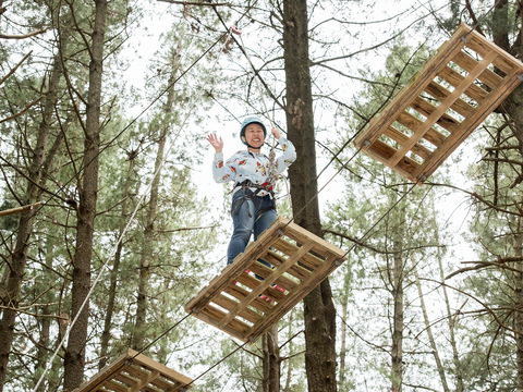 Mount Lofty Adventure Hub - Mackay Tourism 2