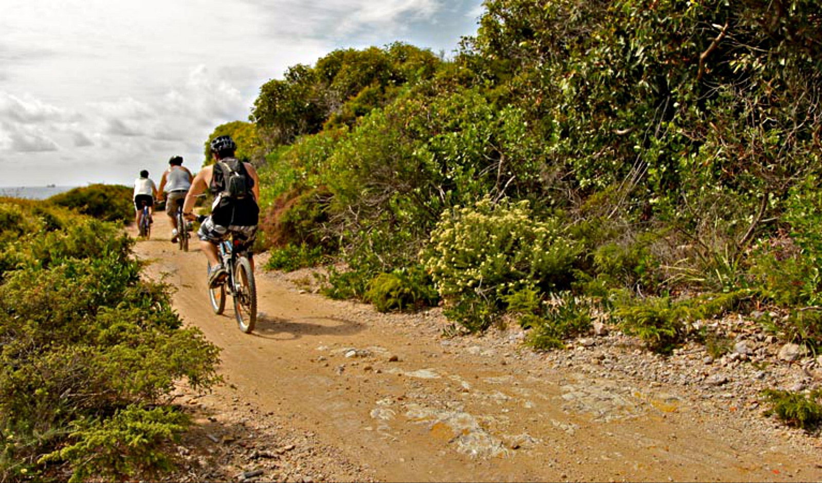 Highfields NSW Mackay Tourism