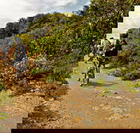Mountain Biking Trails - Mackay Tourism
