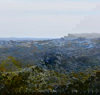Mount Crawford Forest Reserve - Mackay Tourism