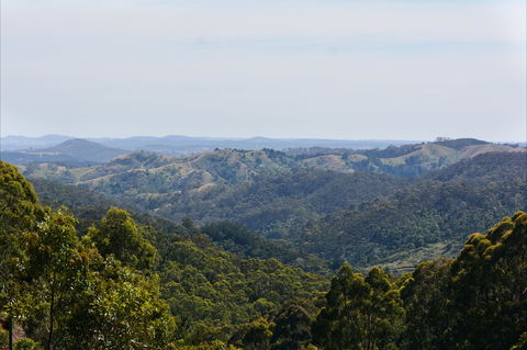 Mount Crawford Forest Reserve - Mackay Tourism 0
