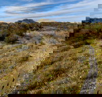 Murramarang Aboriginal Area Walking Track - Mackay Tourism